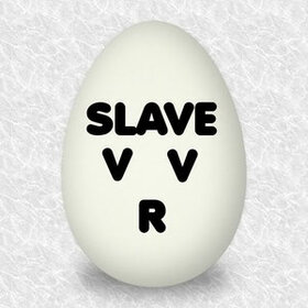 SLAVE.V-V-R(new).jpg