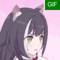 黑猫疑惑.gif