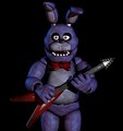 Bonnie merchandise.jpg