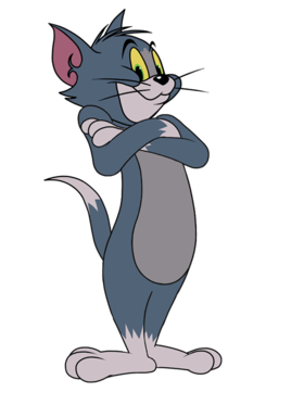 猫鼠汤姆.png