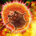 Neo Flamvell Hedgehog.jpg