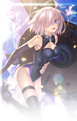 Fate Grand Order VR.png