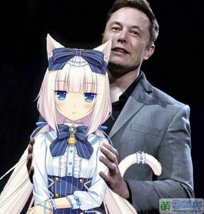 Elon 香子兰.jpg