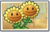 Twin Sunflower Newer Seed Packet.png