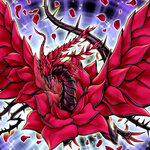 Black Rose Dragon.jpg