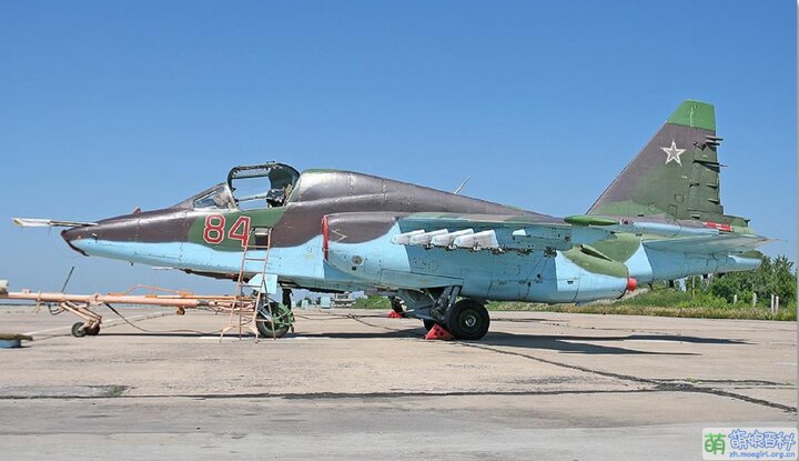 DCS Su-25T mamual pic1.jpg