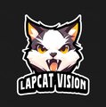 上海市网络游戏行业协会杯首届电竞赛icon Lapcat Vision Game.jpg