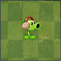 Peashooter Costume 6 Almanac.jpg