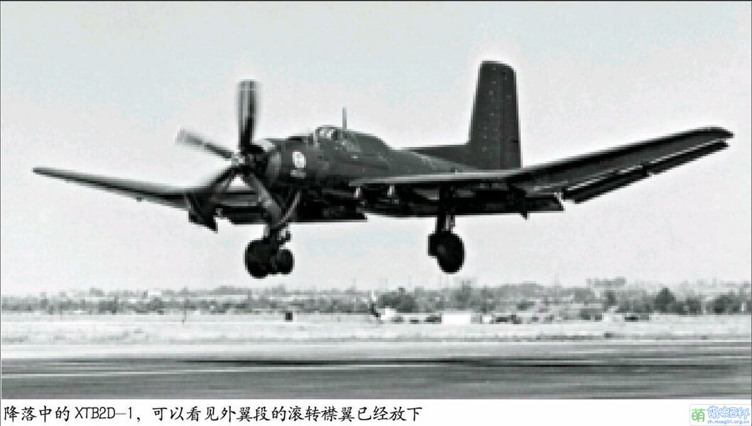 道格拉斯XTB2D-1天空海盗鱼雷轰炸机.jpg