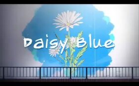 Daisy Blue.jpg