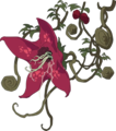 DID 食人植物2 动画.png
