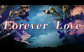 Forever Love(桔梗)-凉宫雨.jpg