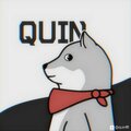 Mr. Quin 2.jpg
