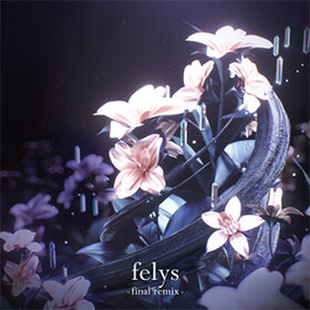 Felys -final remix-.jpg
