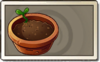 Flower Pot Common Seed Packet.png