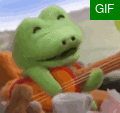棉花小兔 凯利 电视动画第11集 吉他弹唱.gif