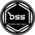 DSS.png