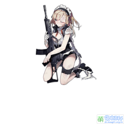 Pic G36 D.png