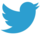 Twitter logo2.png
