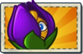 Shrinking Violet Boosted Seed Packet.png