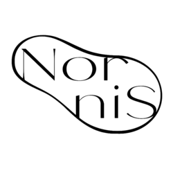 Nornis logo.png