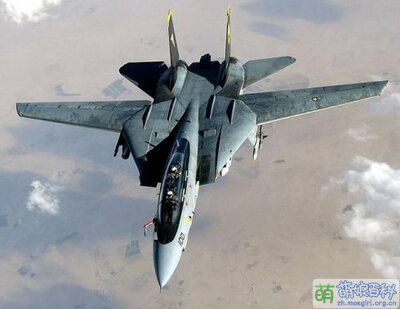 F-14“雄猫”.jpg