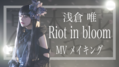 Riot in bloom MV封面.png