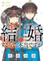 2024年11月17日 (日) 01:19的版本的缩略图