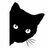 黑猫猫.jpg