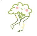 花菜美腿.png