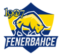 1907 Fenerbahçe Esports allmode.png