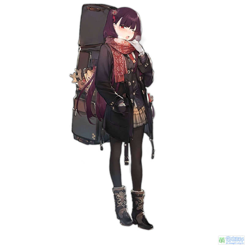 WA2000 306.png