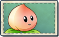Peach Seed Packet.png