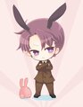 Mido rabbit2.jpg