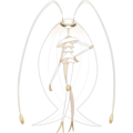 Pokemon Gen7 Pheromosa.png