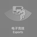 2022杭州亚运会电子竞技图标.png