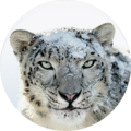 Mac OS X 10 6 Snow Leopard.png