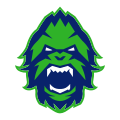 OWL Vancouver Titans Icon.svg