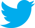 Twitter Logo Transparent.png