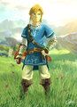 Zelda wiiu fan art.jpg