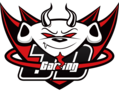 JD Gaming 2019 Logo.png