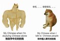 学中文 Buff Doge vs Crying Cheems.jpg