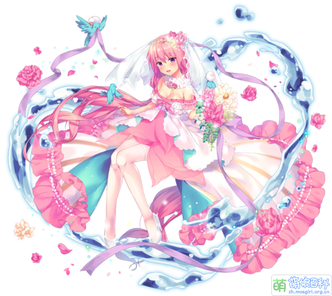 FKG-Lotus(June Bride)-blossom.png