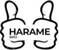 Team Harame Bro 2023 lightmode.png