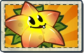 Starfruit Boosted Seed Packet.png