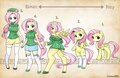 Types fluttershy by shepherd0821-d62lq43.jpg