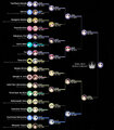 ISML2012 bracketN.jpg