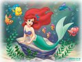 511465 top-the-little-mermaid-pictures-designs-and-decors 1024x768 h.jpg