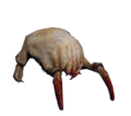 Head Crab.png