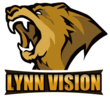 Lynn Vision Gaming 2020 allmode.png